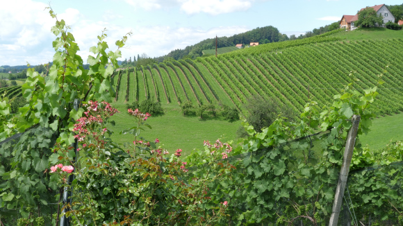 Österreich-Slowenien